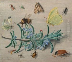 Insects and a Sprig of Rosemary by Jan van Kessel the Elder