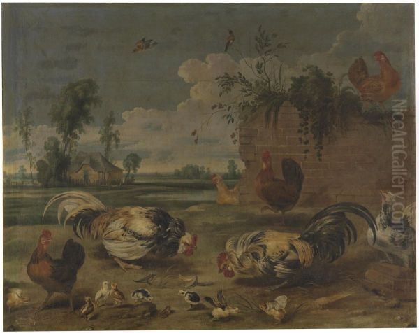 Cock fight - view 1