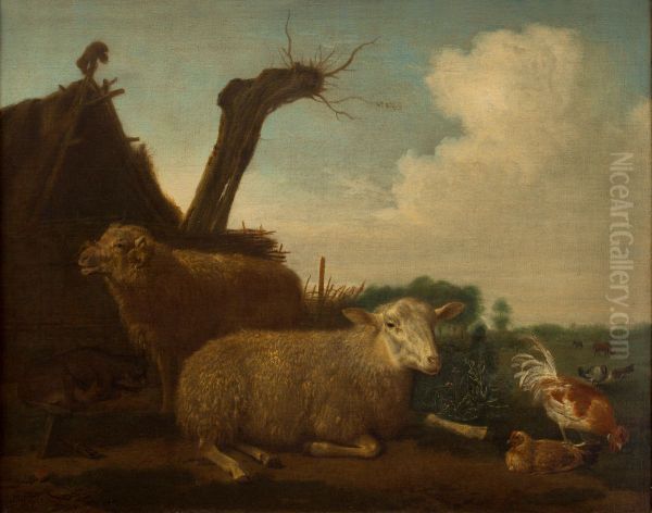 Sheep and ram - view 1