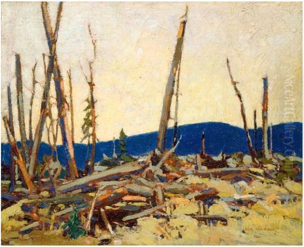 Burnt Land - view 1
