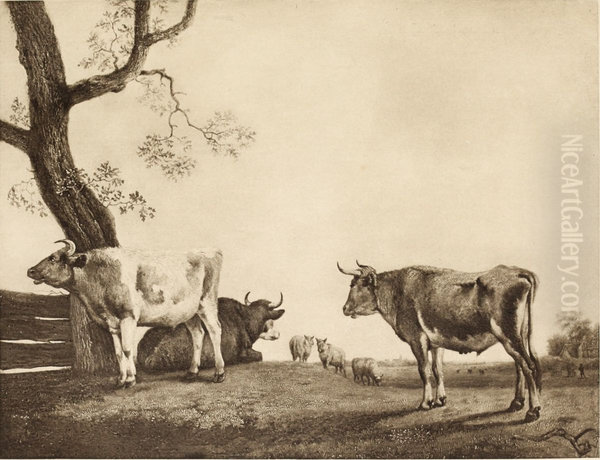 Cattle in Pasture - view 1