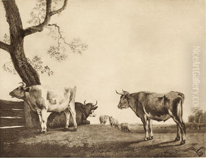Cattle in Pasture