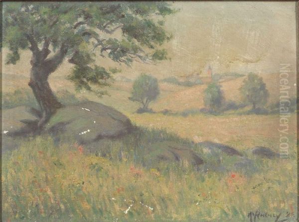Spring Field - view 1