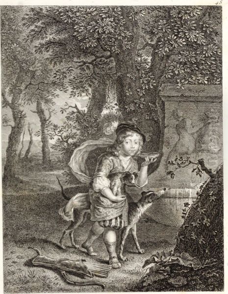 Young boy with dogs - view 1