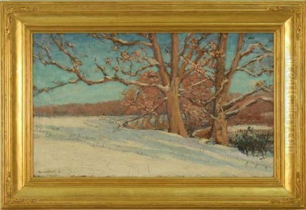 Snowy Forest Landscape. - view 1