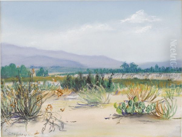 Southwest Desert - view 1