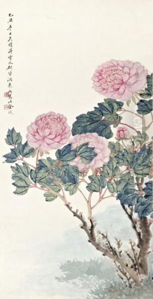 Peonies - view 1