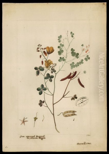(Eichhornia) - view 1