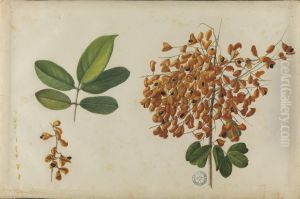 (Folhas, flores e frutos) by Jose Carlos dos Reis Carvalho