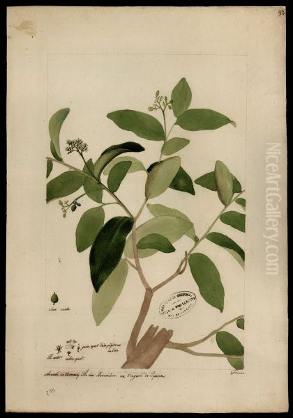 (Humirium) - view 1