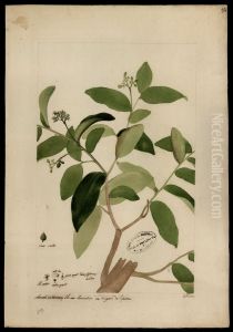 (Humirium)