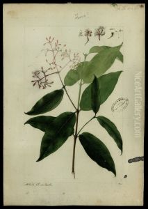 (Rubiaceae) by Jose Joaquim Freire