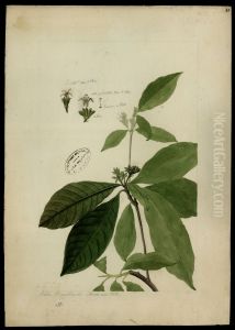 (Rubiaceae) by Jose Joaquim Freire