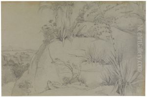 Rock plants by Charles Landseer