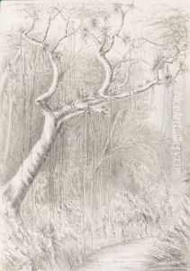 Tree on the Road to the Presidencia Petropolis July 6th 1854 by Marguerite Tollemache