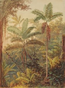 Vegetacao tropical (atribuido)