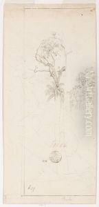 Estudo de arvores (atribuido) by Johann Moritz Rugendas