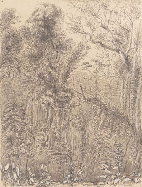Hollow - thru' which the new road from the Presidencia to Petropolis is to be cut 7th November 1854 - view 1