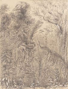 Hollow - thru' which the new road from the Presidencia to Petropolis is to be cut 7th November 1854 by Marguerite Tollemache