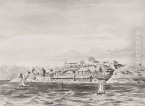 Ilha das Cobras by Friedrich Salathe