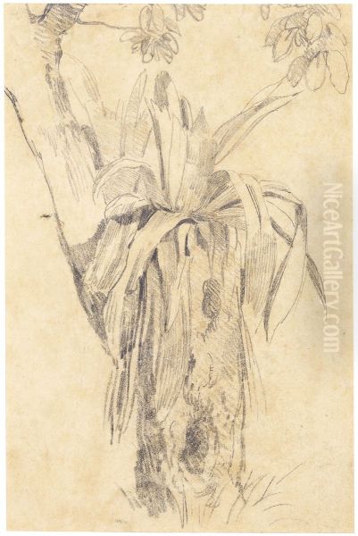 Parasitical Plant - view 1