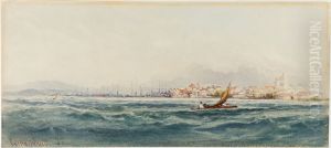 Pernambuco by J. Bury