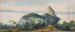 Baia do Rio de Janeiro com Pao de Acucar (atribuido) by Friedrich Hagedorn