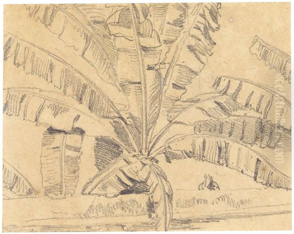 Bananas - view 1