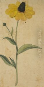 Desenho de Planta - Album M A B A D - Prancha N.2 by unknown