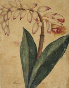 Desenho de Planta - Album M A B A D - Prancha 4 by unknown