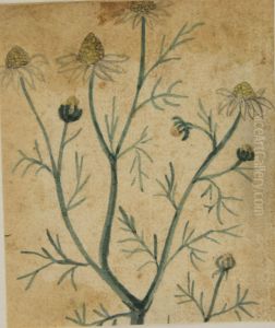 Desenho de Planta - Album M A B A D - Prancha N.7 by unknown