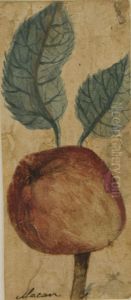 Desenho de Planta - Album M A B A D - Prancha N.7 by unknown