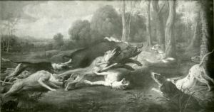 Dogs attacking a wild boar