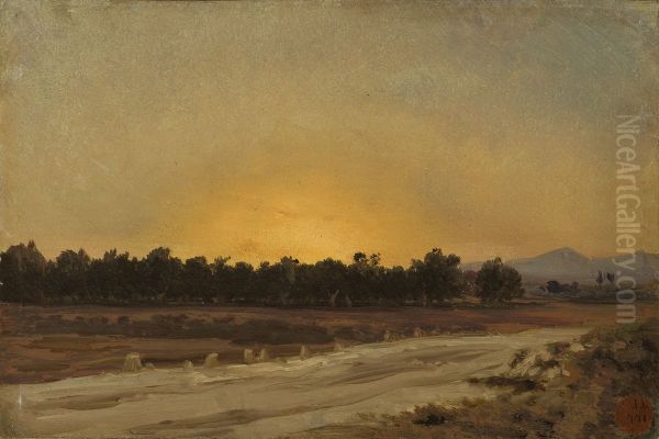Puesta de sol (Elche) - view 1