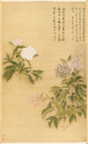 Herbaceous Peony - view 1