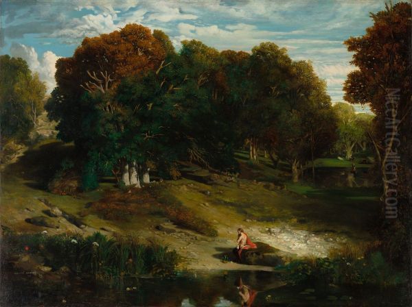In the Forest - view 1