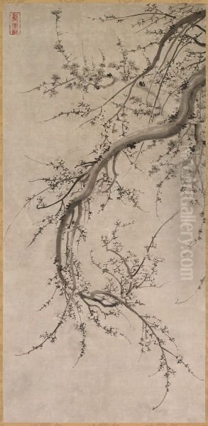 Prunus - view 1