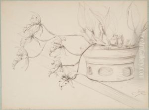 drawing by Philippe Wolfers , KBS-FRB, D2017.023.019.009