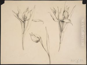drawing by Philippe Wolfers , KBS-FRB, D2017.023.019.011 by Philippe Wolfers