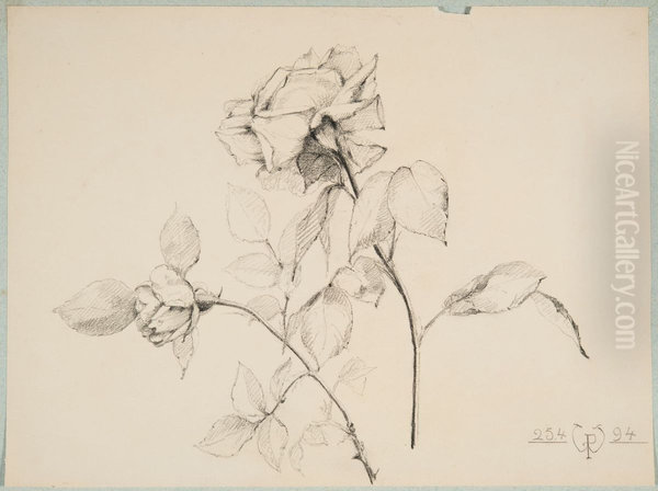 drawing by Philippe Wolfers , KBS-FRB, D2017.023.019.013 - view 1
