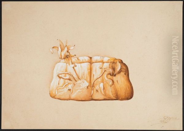drawing by Philippe Wolfers , KBS-FRB, D2017.023.019.018 - view 1