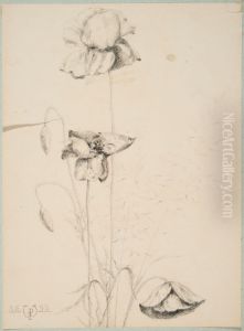 drawing by Philippe Wolfers , KBS-FRB, D2017.023.019.021 by Philippe Wolfers
