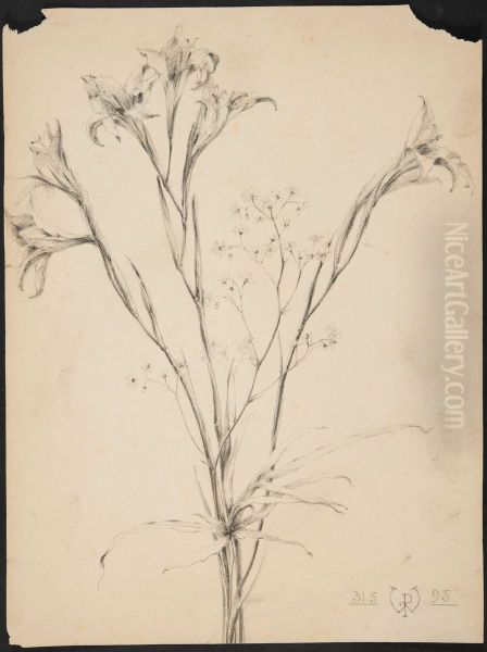 drawing by Philippe Wolfers , KBS-FRB, D2017.023.019.024 - view 1