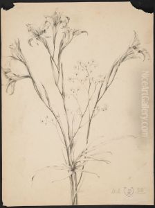 drawing by Philippe Wolfers , KBS-FRB, D2017.023.019.024 by Philippe Wolfers
