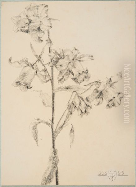 drawing by Philippe Wolfers , KBS-FRB, D2017.023.019.027 - view 1