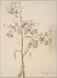 drawing by Philippe Wolfers , KBS-FRB, D2017.023.019.027 by Philippe Wolfers