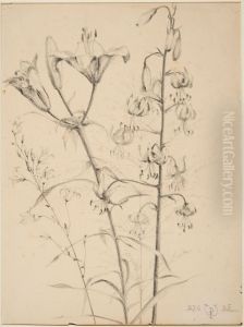 drawing by Philippe Wolfers , KBS-FRB, D2017.023.019.028 by Philippe Wolfers