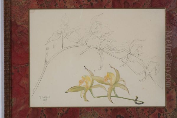 drawing by Philippe Wolfers , KBS-FRB, D2017.023.019.050 - view 1