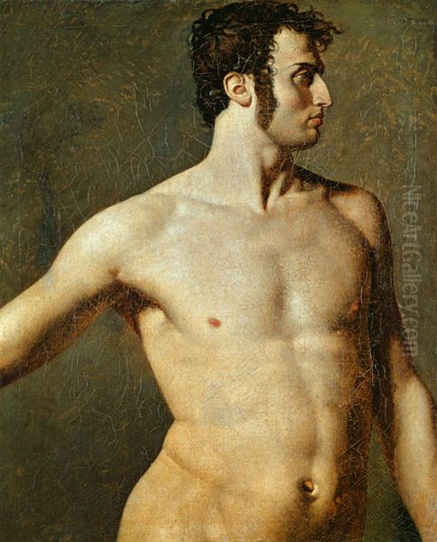 Male torso - view 1