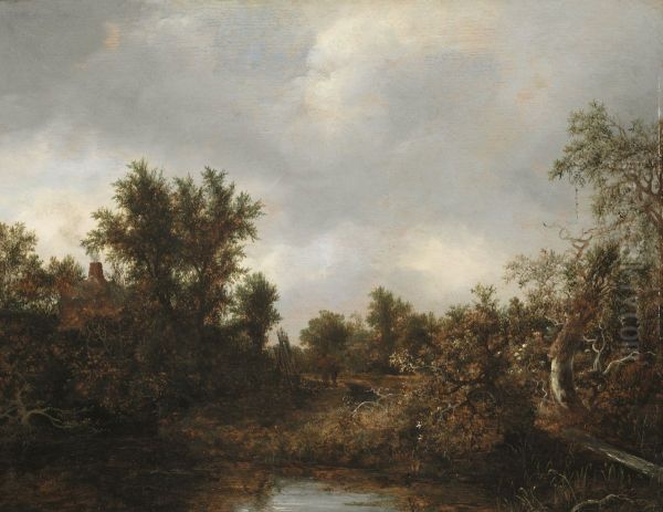 Landscape - view 1